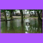 Flood 3.jpg